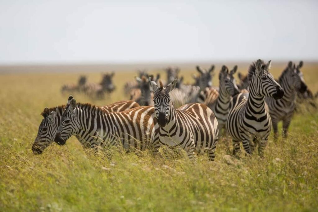 Arusha attractions