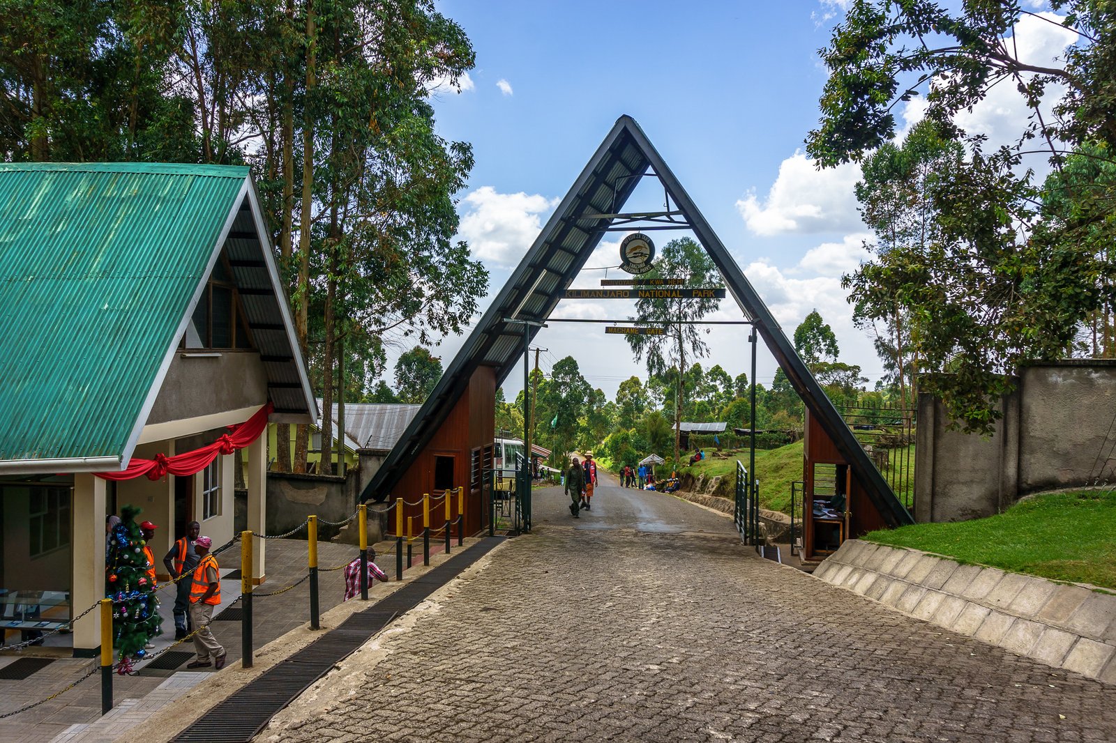 Machame Gate Kilimanjaro rainforest start