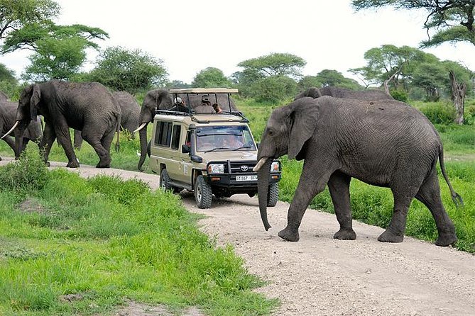 Tarangire National Park Tanzania