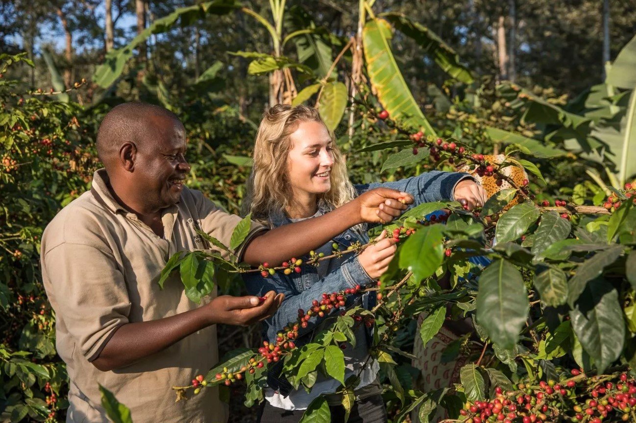 Coffee tour in Arusha