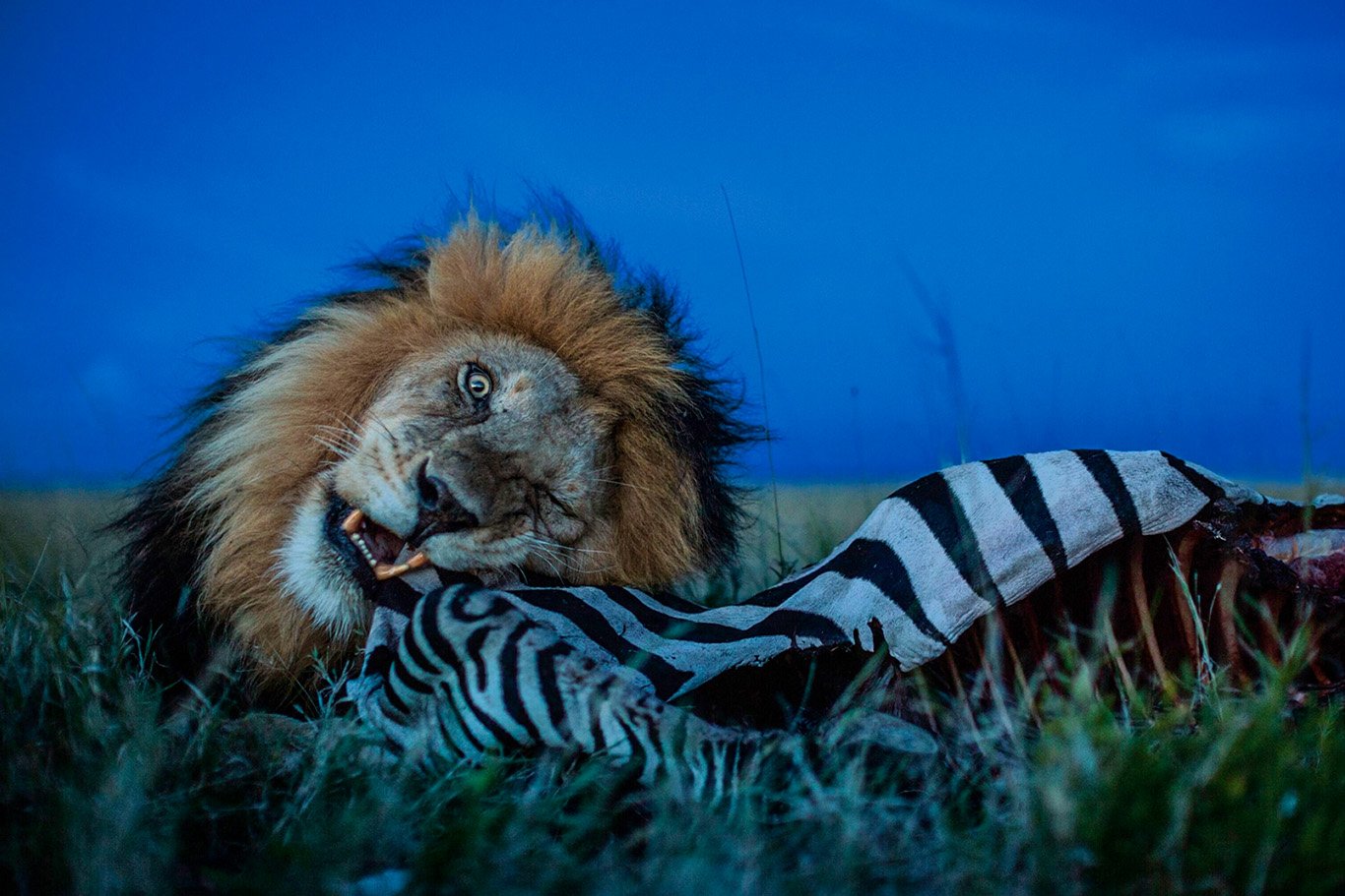Tanzania-Big-Five-Safari