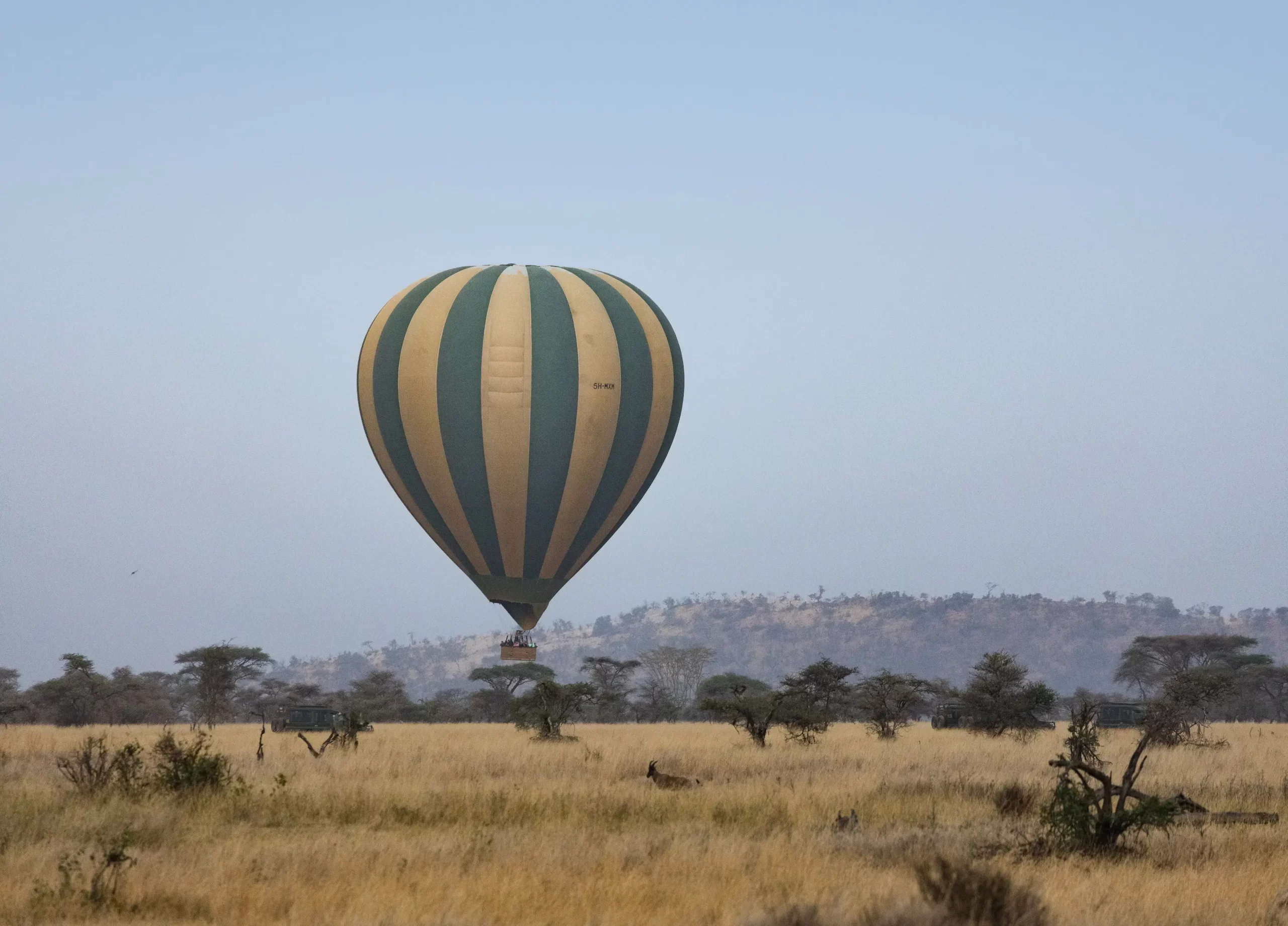 Things to Do in Serengeti National Park