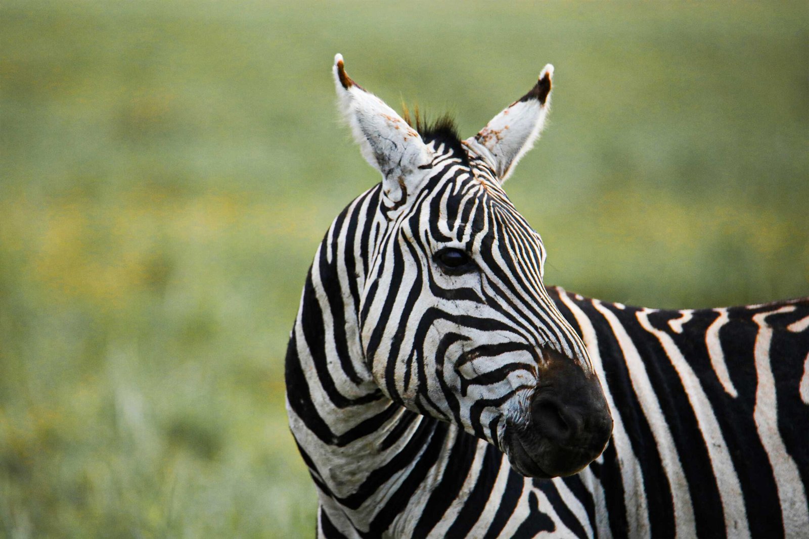 best time to visit tanzania