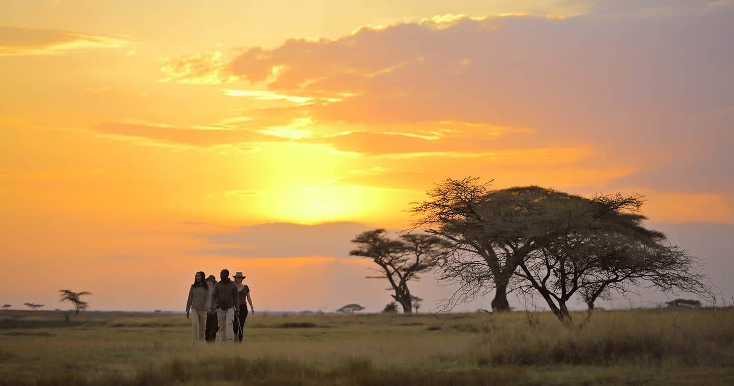 bush-walk-serengeti-national-park (1)