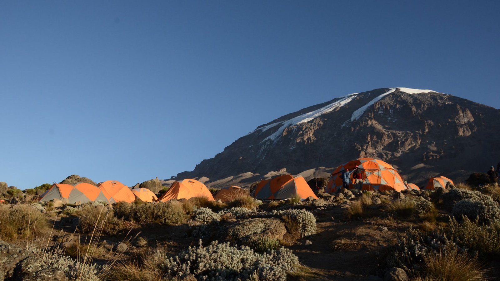 Shira Plateau Kilimanjaro moorland views