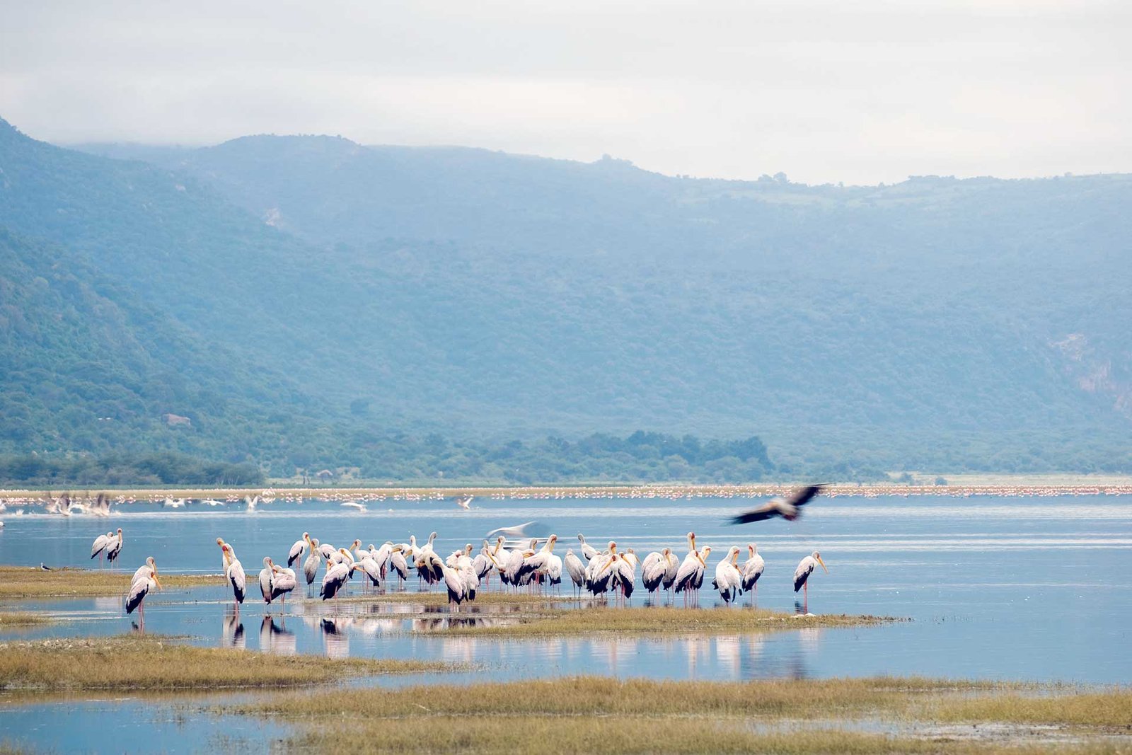 manyara-7-1920x1280-1