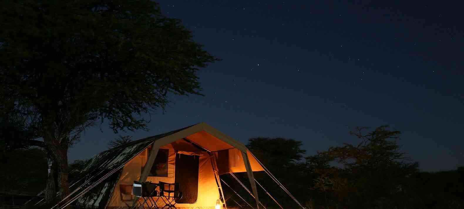 Tanzania Safari Tours