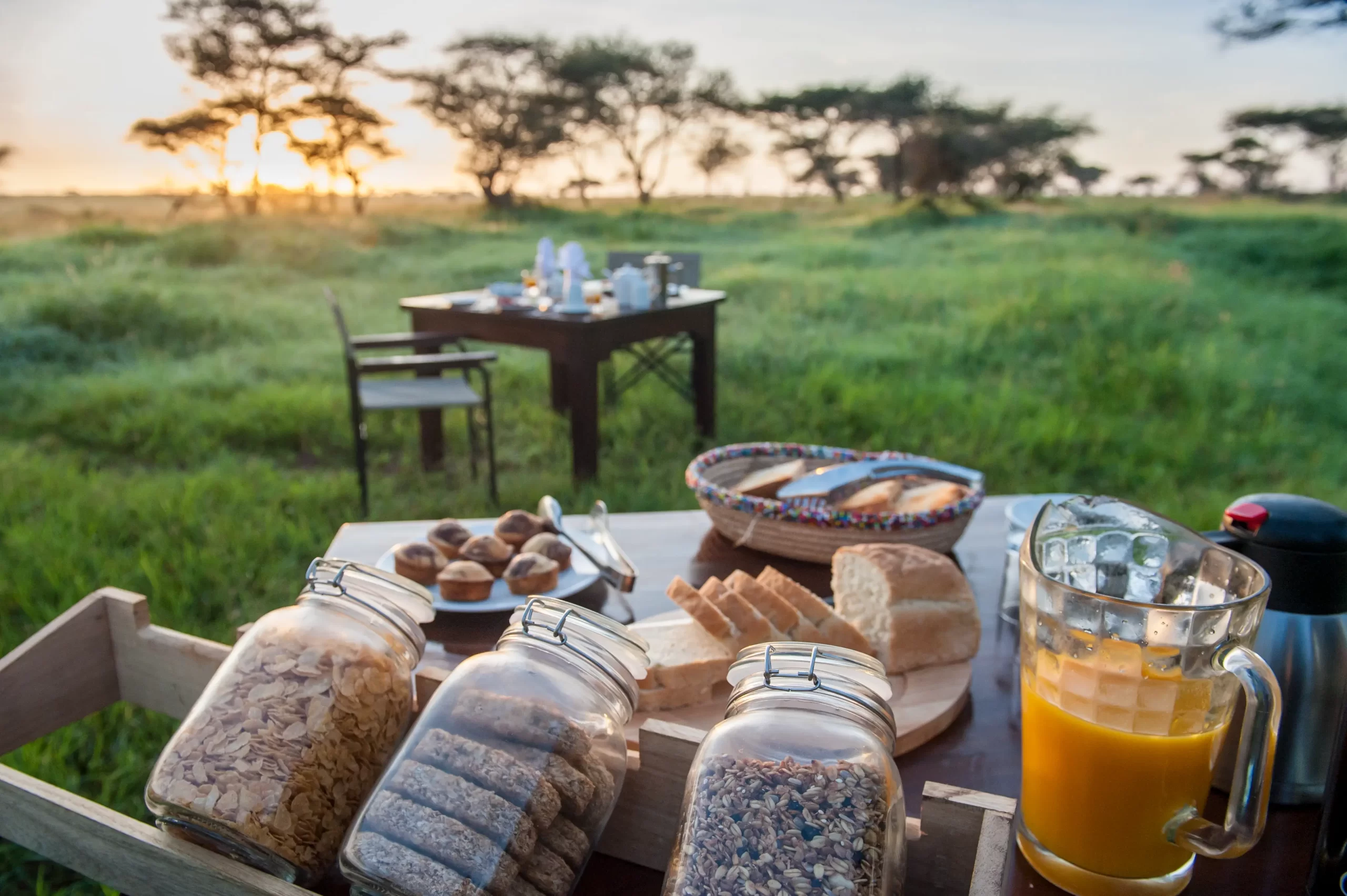 Family bush dining in Serengeti National Park