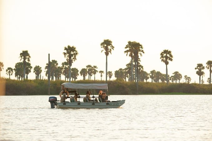 Boat safari