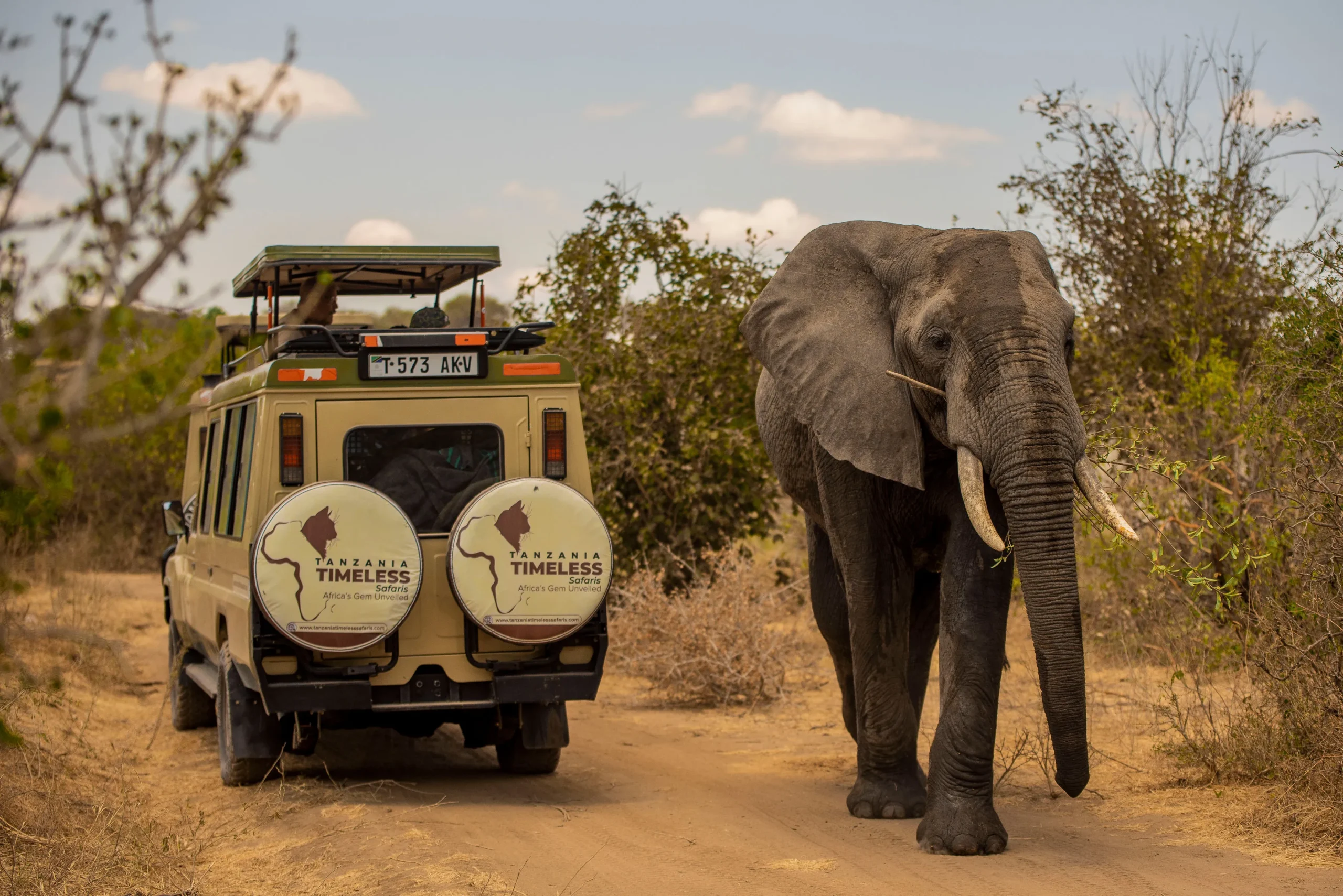 Tarangire Np game drive