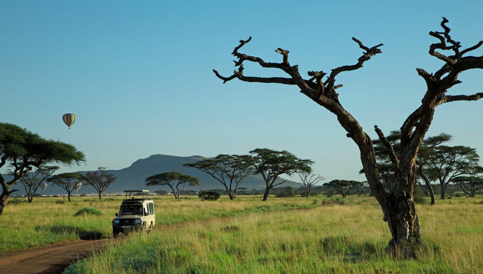 Safari jeep game drive in Serengeti National Park during Tanzania dry season safari.