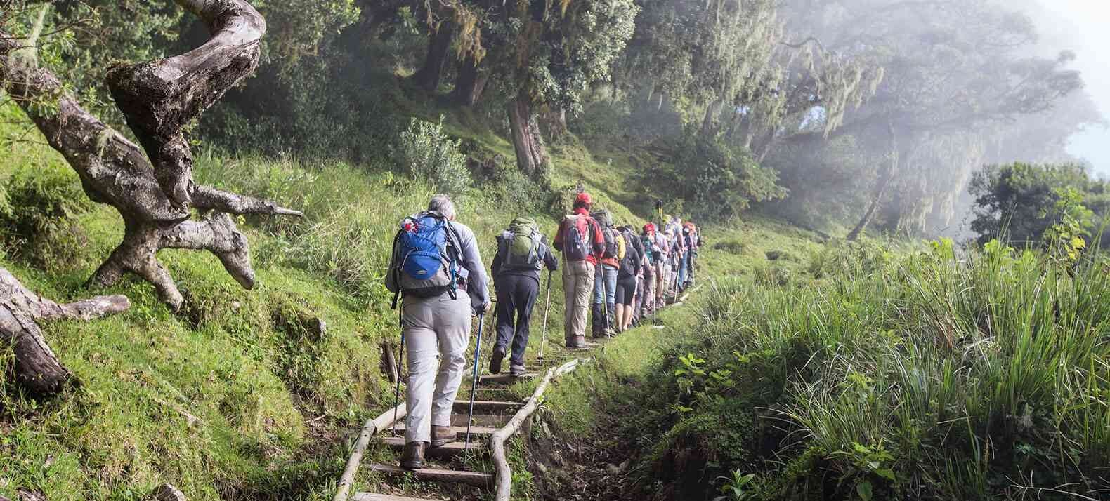 Mount Meru Hiking