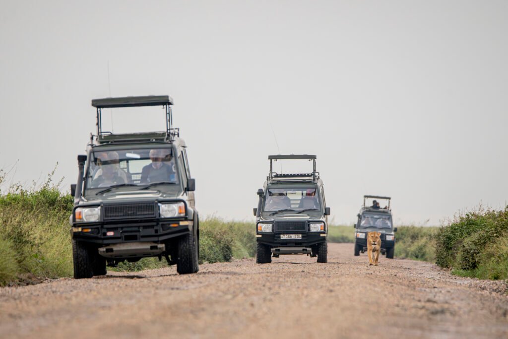Ndutu calving season safari,
