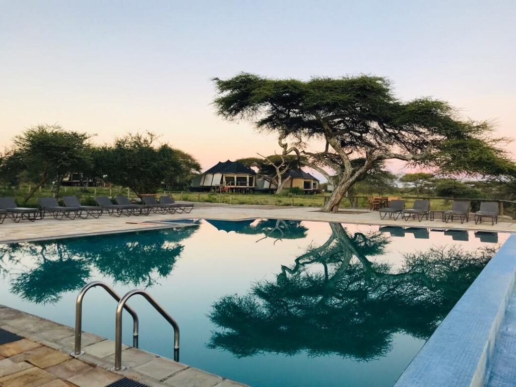 Ndutu luxury safari