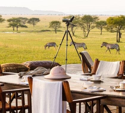 Tanzania Luxury Safari