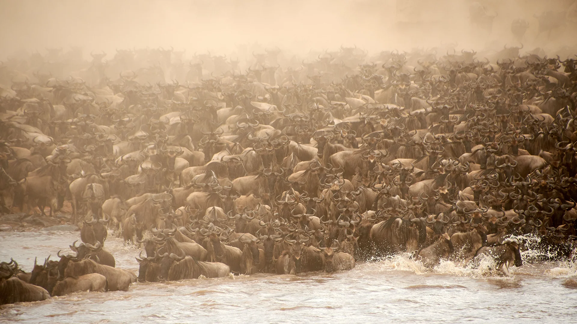 Where to See the Great Migration