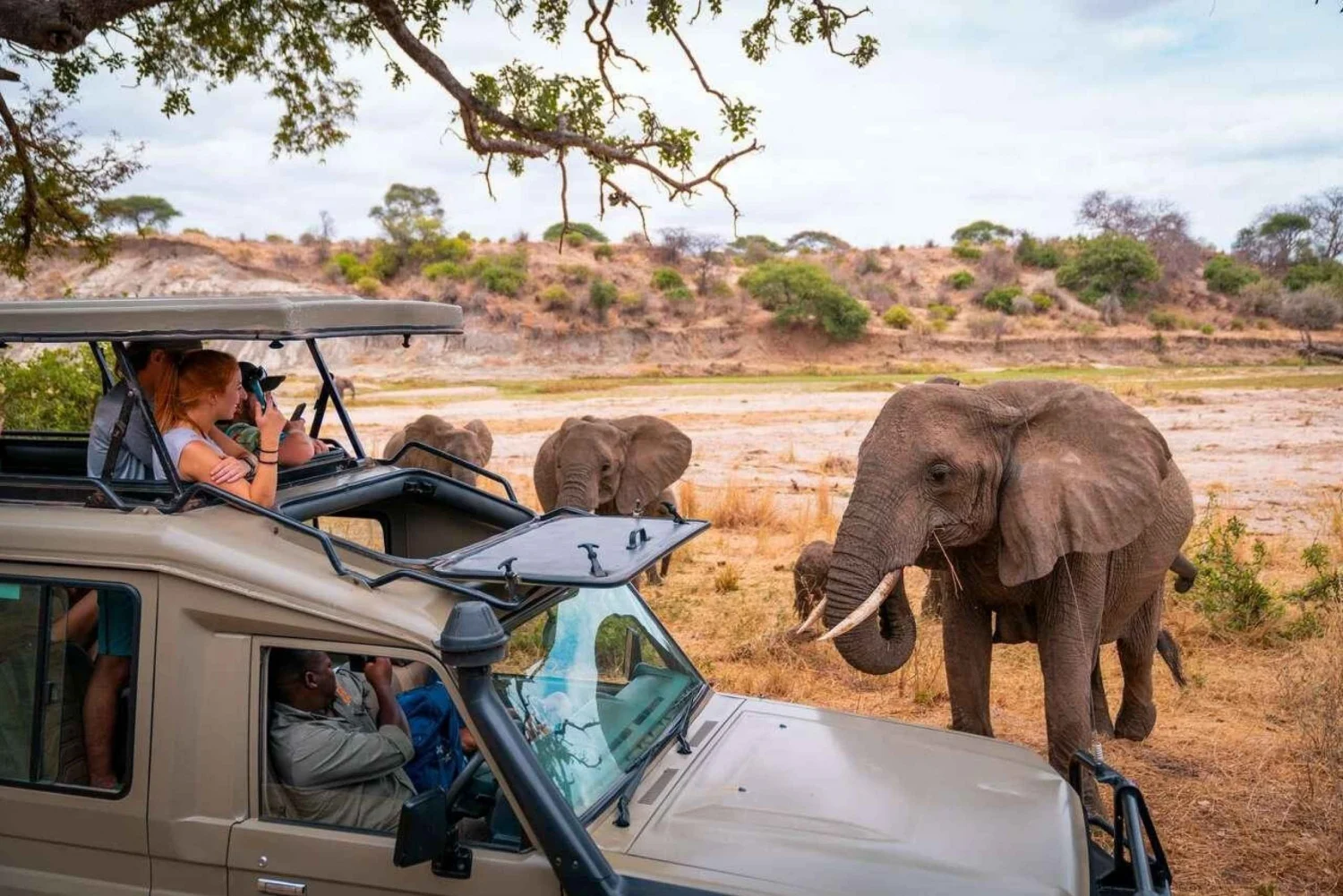 Tourists enjoying a safe safari in Tanzania inside a Land Cruiser surrounded by elephants