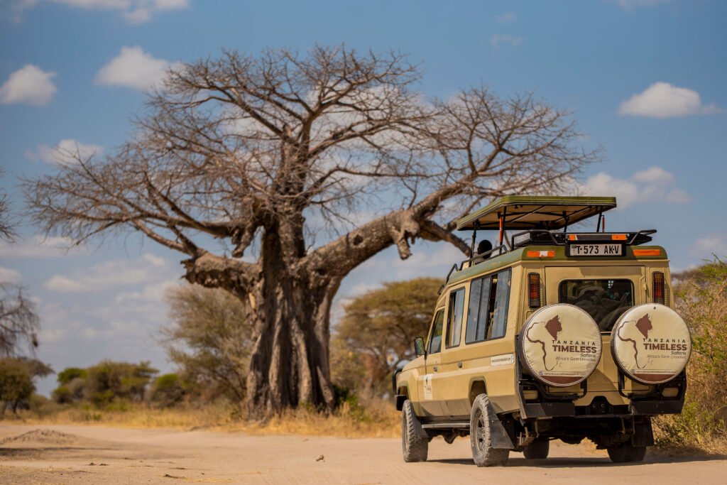 Tanzania Timeless Safaris