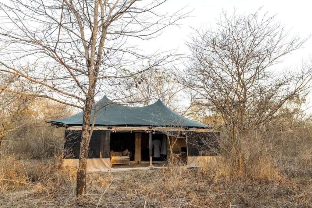 Tanzania Bush Camp – Ndutu Area