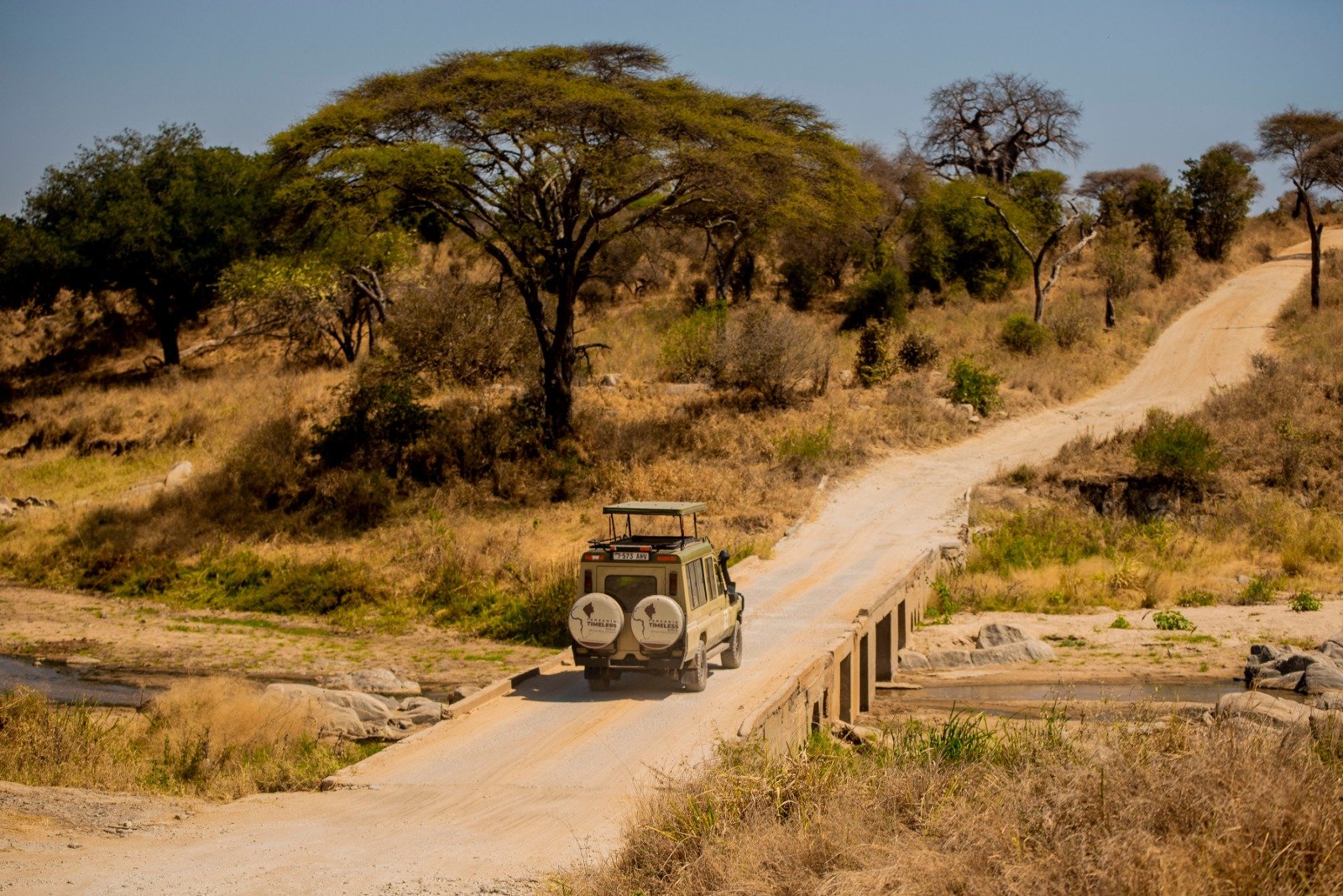 Luxury game drive safari in Tanzania Serengeti – spot lions, elephants and Big Five wildlife